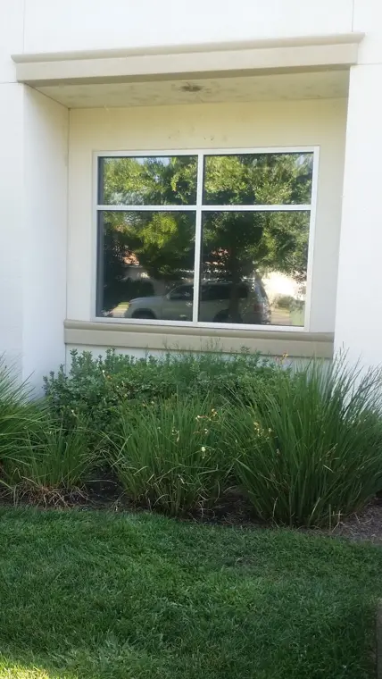 Commercial window tint — Tint Masters Fresno