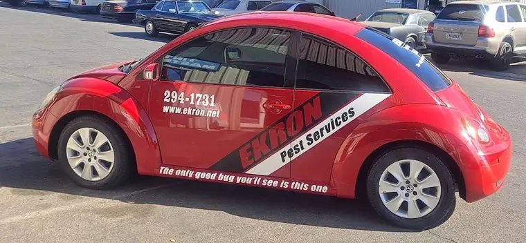 Window tint install — Tint Masters Fresno #111